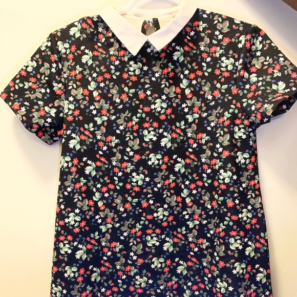 Black floral dress with a white collar - Picture 1 of 5